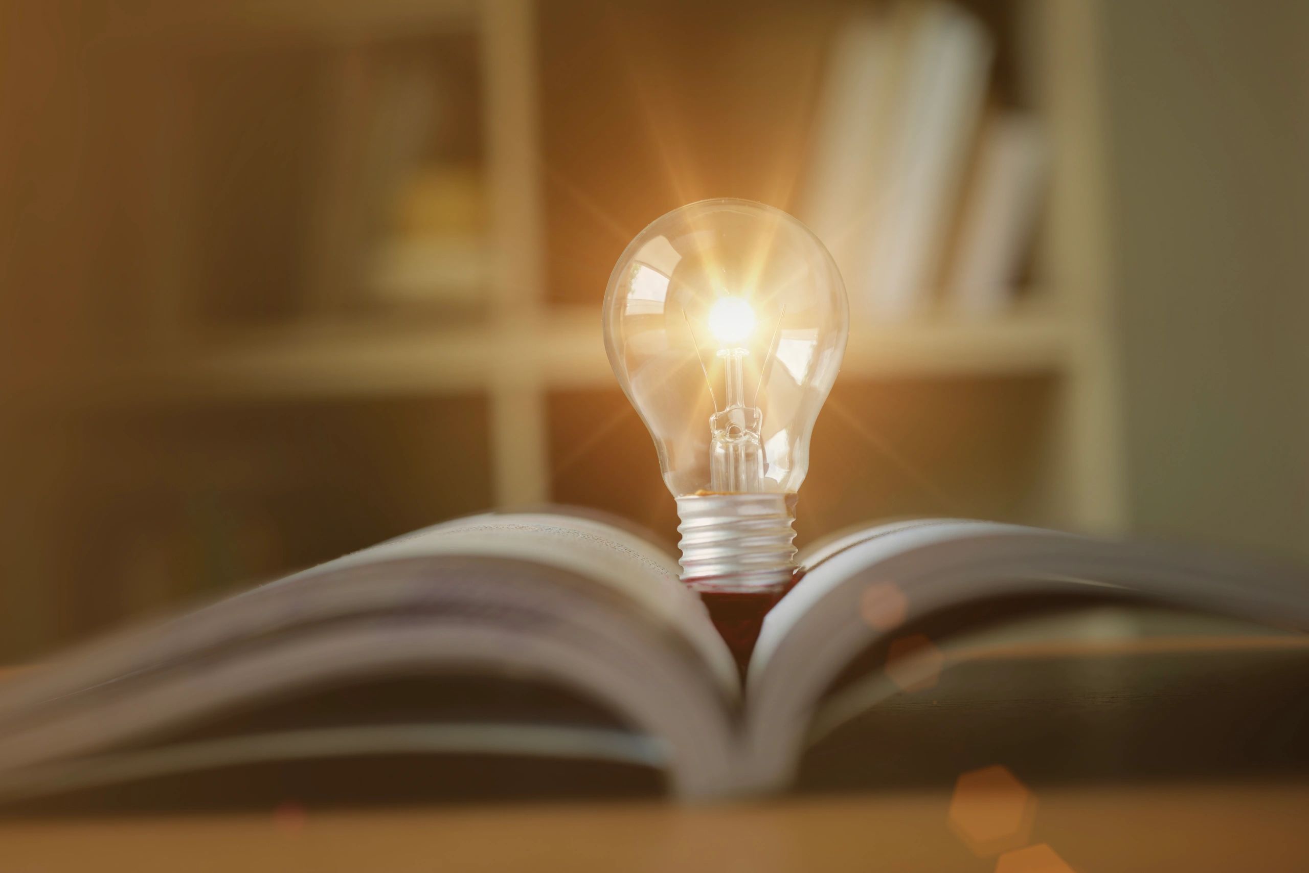 Collection of interactive fiction books